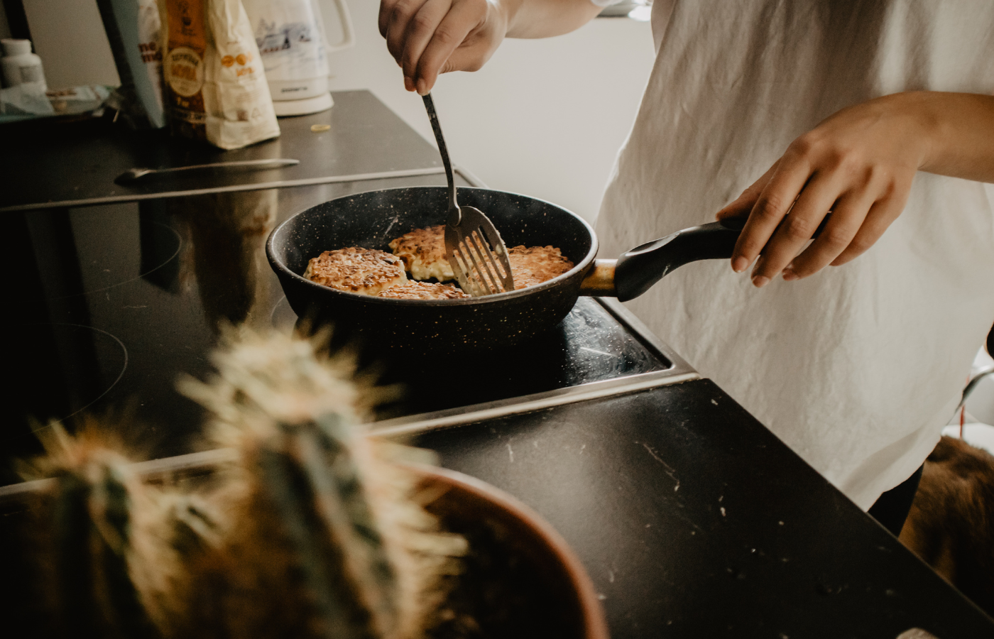 Quick and fast family meals